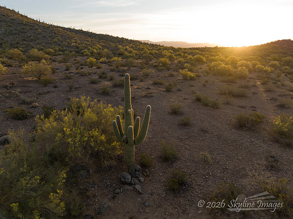 Near Congress Arizona