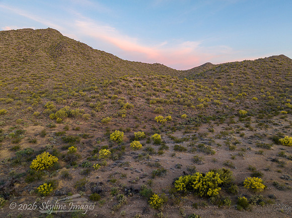 Near Congress Arizona