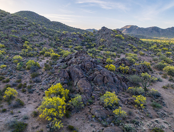 Near Congress Arizona