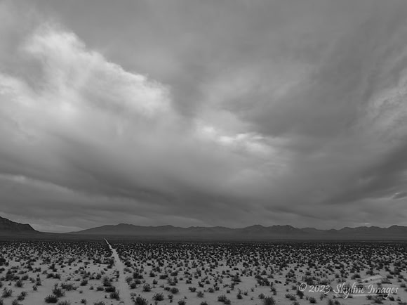 Mojave Desert California