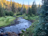 Wasatch National Forest, Utah
