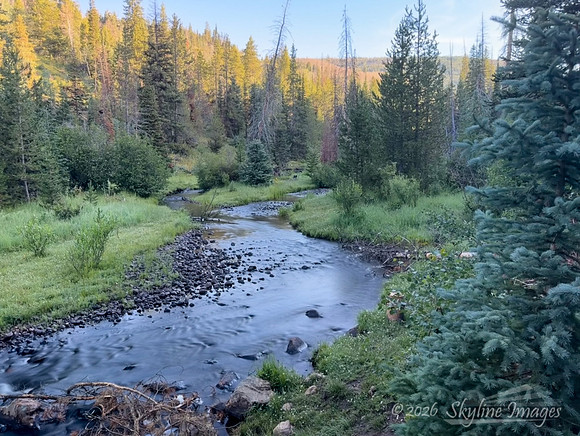 Wasatch National Forest, Utah