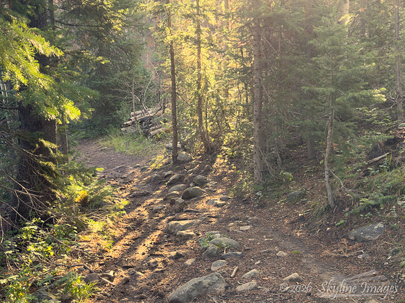 Wasatch National Forest, Utah