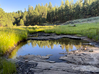 Coconino National Forest AZ