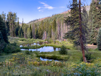 Wasatch National Forest, Utah