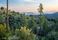 Prescott National Forest AZ