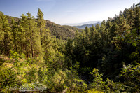 Prescott National Forest AZ