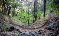 Prescott National Forest AZ