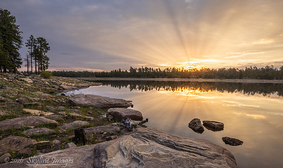Sitgreaves National Forest AZ