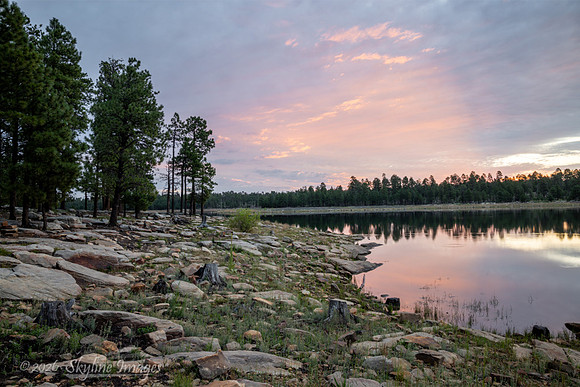 Sitgreaves National Forest AZ