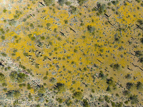Harquahala Foothills