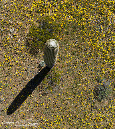 Harquahala Foothills