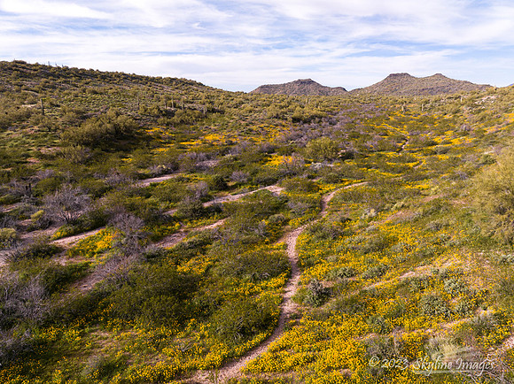 Ft McDowell Area, Arizona