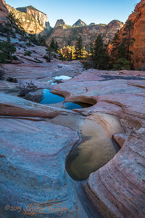 Zion NP, Utah