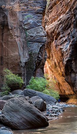 Virgin River Narrows in Zion NP, Utah