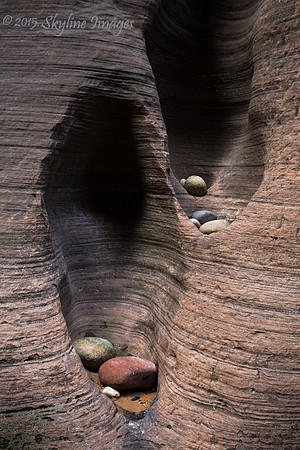 Detail, Zion NP, Utah