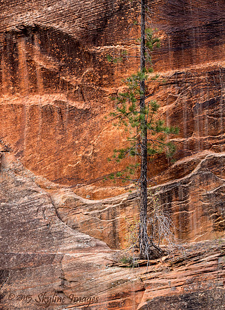 Zion NP, Utah