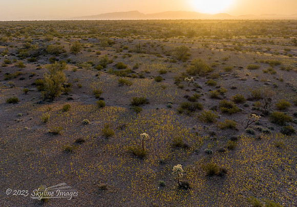Darby Well BLM Arizona