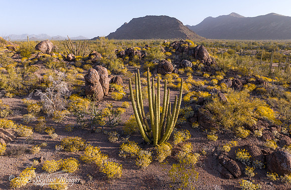 Darby Well BLM Arizona