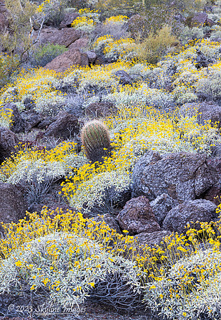 Darby Well BLM Arizona