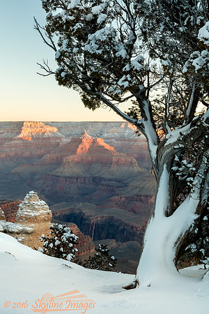 Grand Canyon AZ
