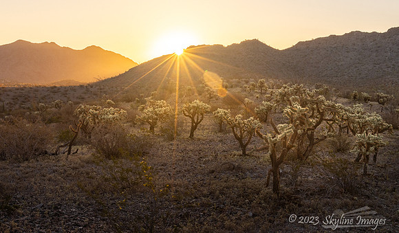 Cabeza Prieta National Wildlife Refuge Arizona