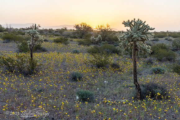 Darby Well BLM Arizona