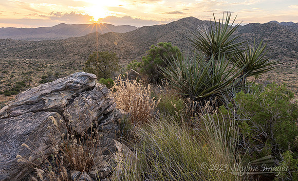 Joshua Tree National Park, California
