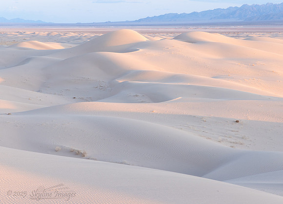 Mojave Desert California