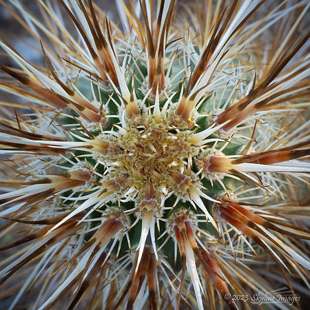 Darby Well BLM Arizona