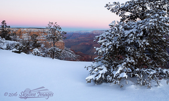 Grand Canyon AZ