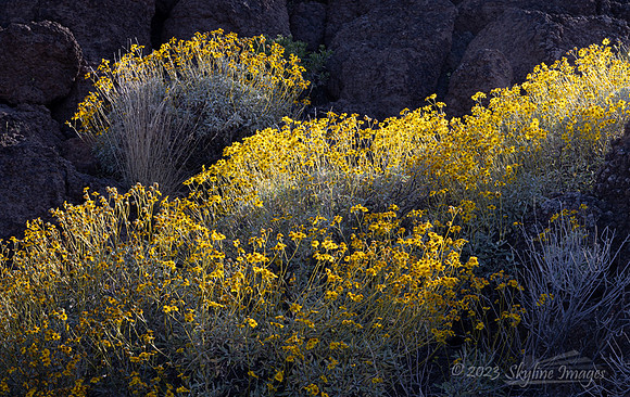 Darby Well BLM Arizona