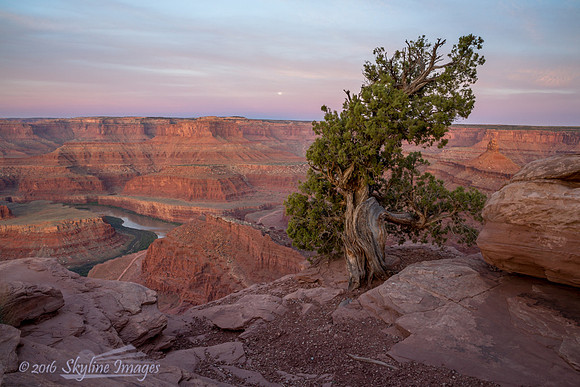 Dead Horse Point State Park, Utah