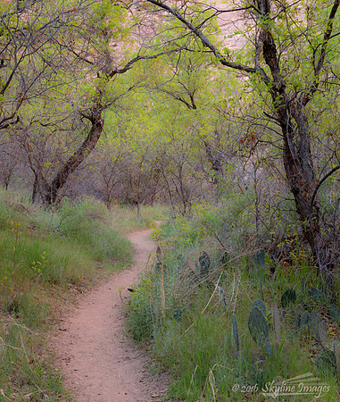 Hunter Canyon, Utah
