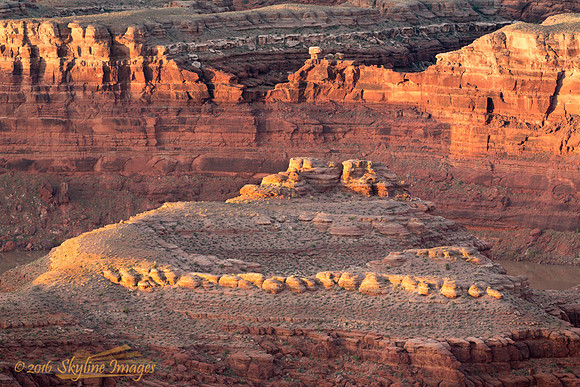 Detail, Dead Horse Point State Park, Utah