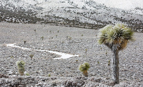 Lee Flat, Death Valley National Park