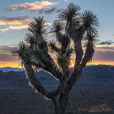 Lee Flat, Death Valley National Park