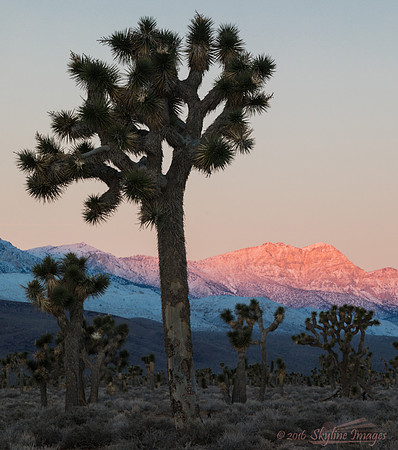 Lee Flat, Death Valley National Park