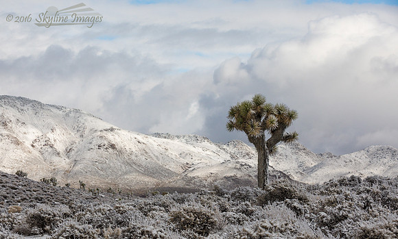 Lee Flat, Death Valley National Park