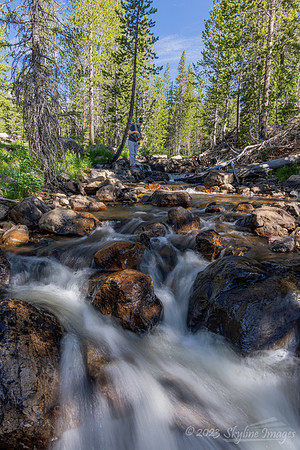 Uinta-Wasatch-Cache National Forest Utah