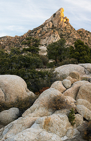 Mojave National Preserve, California