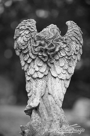 Bonaventure Cemetery, Savannah Georgia