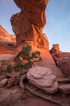 Arches National Park UT