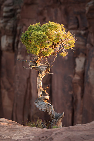 Canyonlands National Park