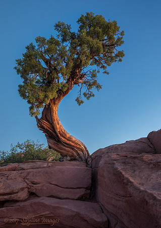 Dead Horse Point State Park UT