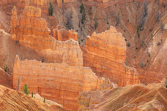 Cedar Breaks National Monument Utah