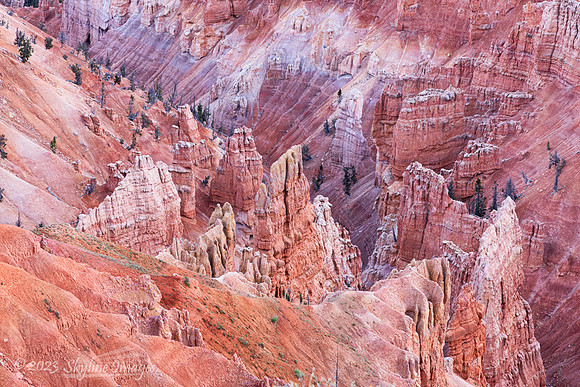 Cedar Breaks National Monument Utah