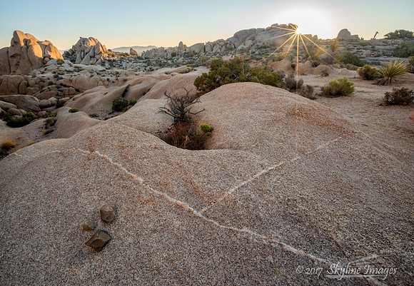 Joshua Tree National Park CA