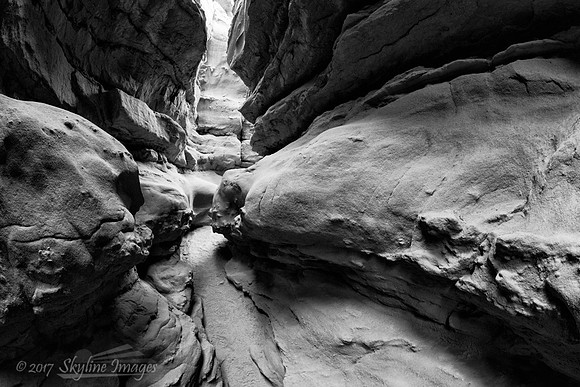 Anza Borrego Desert State Park, CA