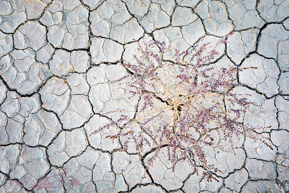 Death Valley National Park CA